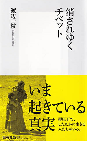 �ä���椯���٥åȡʽ��Ѽҿ����[���հ��]