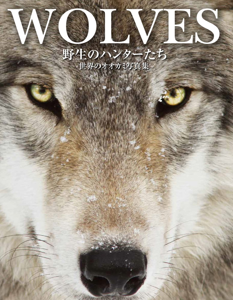 楽天ブックス: WOLVES野生のハンターたち 世界のオオカミ写真集