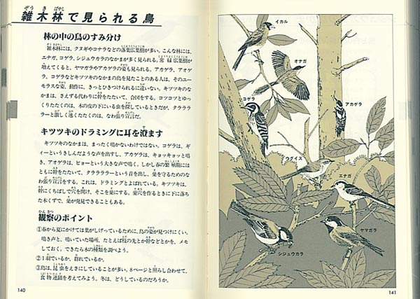 自然図鑑動物・植物を知るために（福音館の科学シリーズ）[さとうち藍]