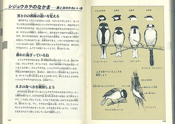 自然図鑑動物・植物を知るために（福音館の科学シリーズ）[さとうち藍]