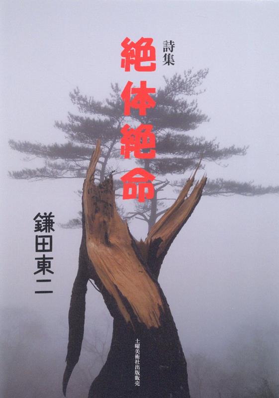 楽天ブックス 詩集 絶体絶命 鎌田東二 9784812026892 本