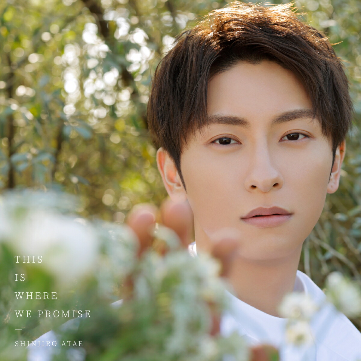 SHINJIRO ATAE & SKY-HI CD・DVD 3枚セット 61OtQLSfPVL.jpg