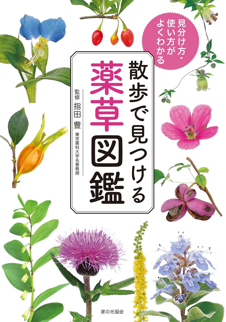 楽天ブックス 散歩で見つける薬草図鑑 見分け方 使い方がよくわかる 指田 豊 本