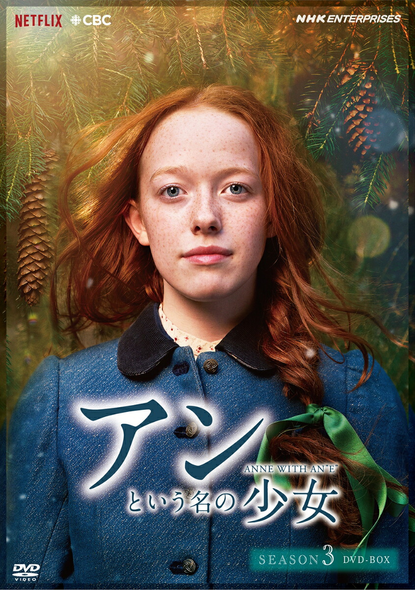 アンという名の少女 シーズン3 DVDBOX エイミーベス・マクナルティ - DVD