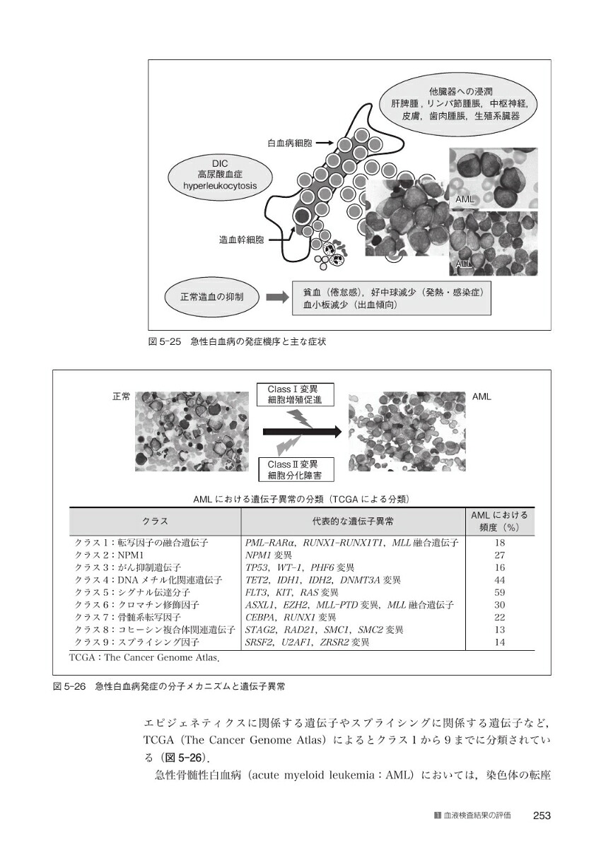 楽天ブックス スタンダード検査血液学第4版 Web動画付 日本検査血液学会 9784263226919 本
