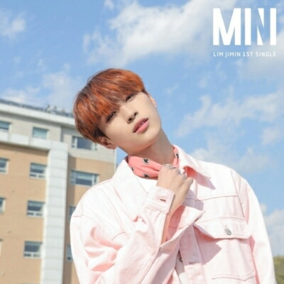 【輸入盤】1st Single: MINI