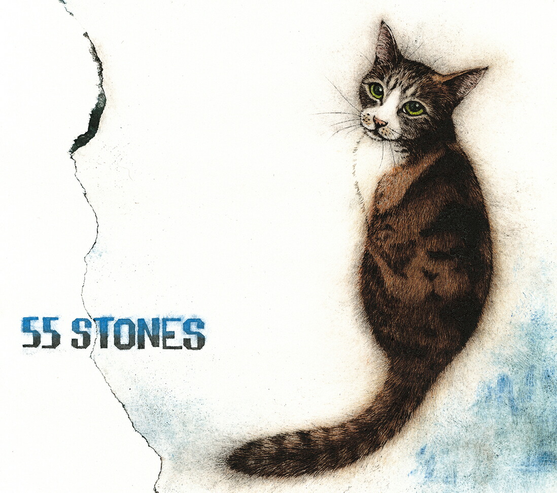 楽天市場 先着特典付 斉藤和義 55 Stones Cd Dvd 初回限定盤 Z 110 新星堂wondergoo楽天市場店