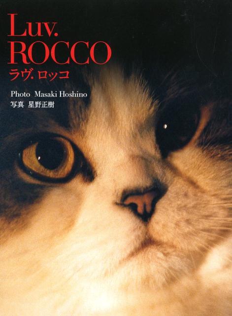 Luv��ROCCO[��������]