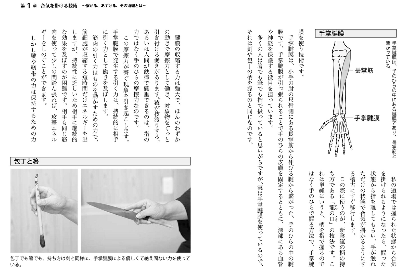 合気の答え不思議なワザが解剖学や力学でわかる！[岡本眞]