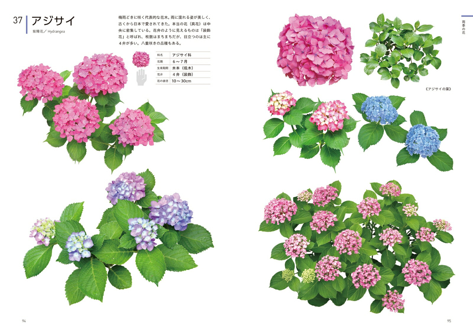 ���ꥨ�������Τ���βֿ޴եǥ����󡦥��饹�ȡ�����եȤʤɤ���Ω��[�����ҹ�]