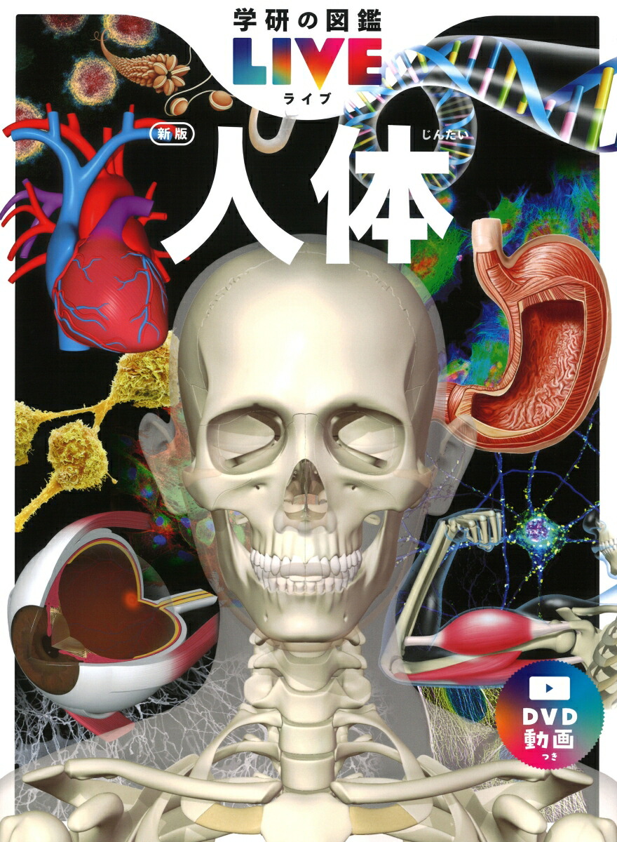 ���ο��ǡʳظ��ο޴�LIVE�ʥ饤�֡�7��[�����¸�]