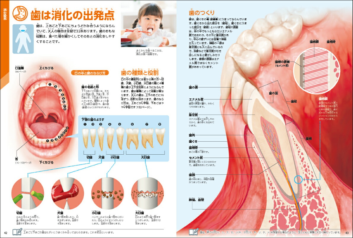 ���ο��ǡʳظ��ο޴�LIVE�ʥ饤�֡�7��[�����¸�]