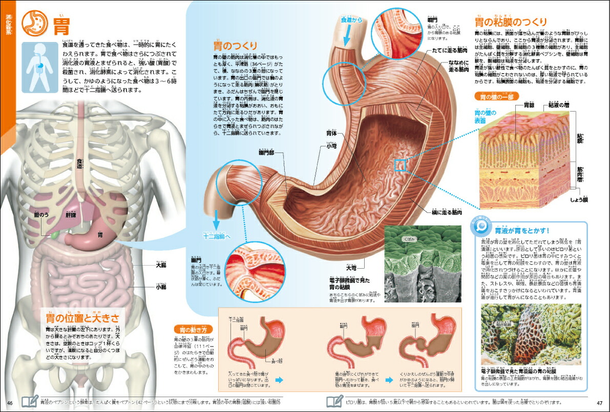 ���ο��ǡʳظ��ο޴�LIVE�ʥ饤�֡�7��[�����¸�]