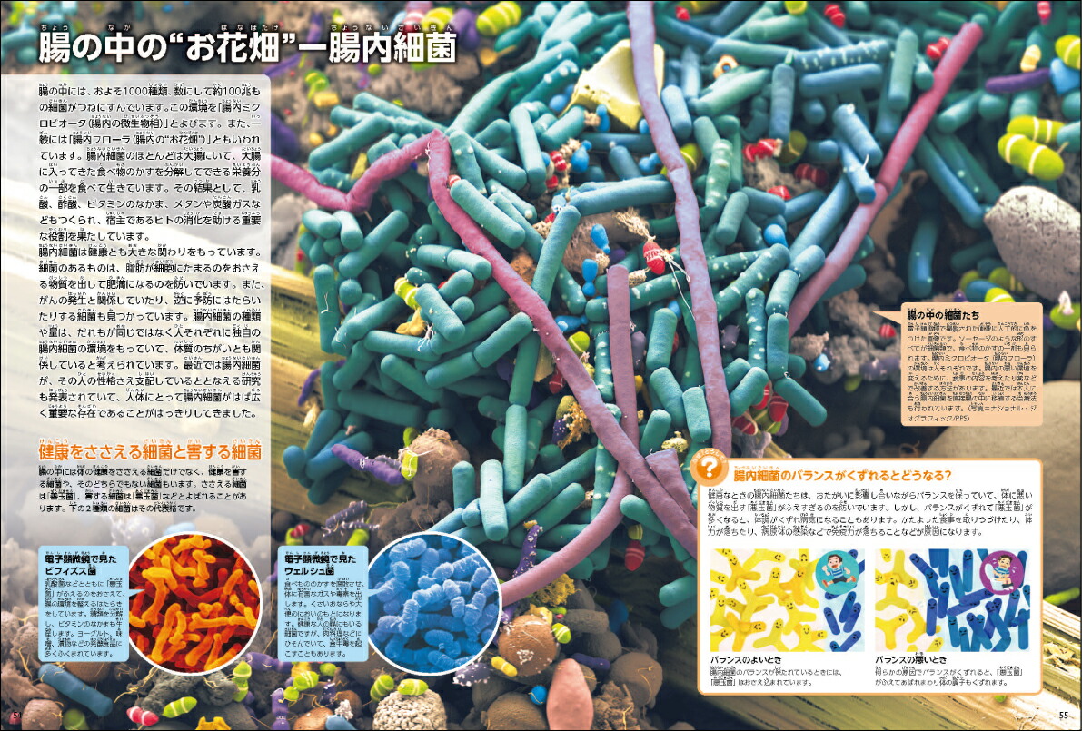 ���ο��ǡʳظ��ο޴�LIVE�ʥ饤�֡�7��[�����¸�]