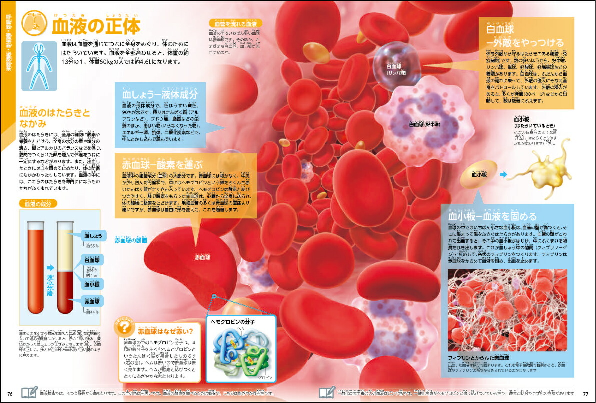 ���ο��ǡʳظ��ο޴�LIVE�ʥ饤�֡�7��[�����¸�]