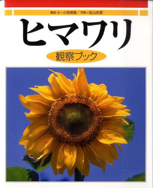 ҥޥѻ֥å[ı]