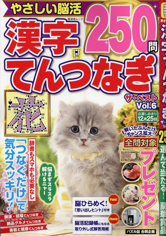 漢字てんつなぎザ・ベストVol.6（晋遊舎ムック）[晋遊舎]