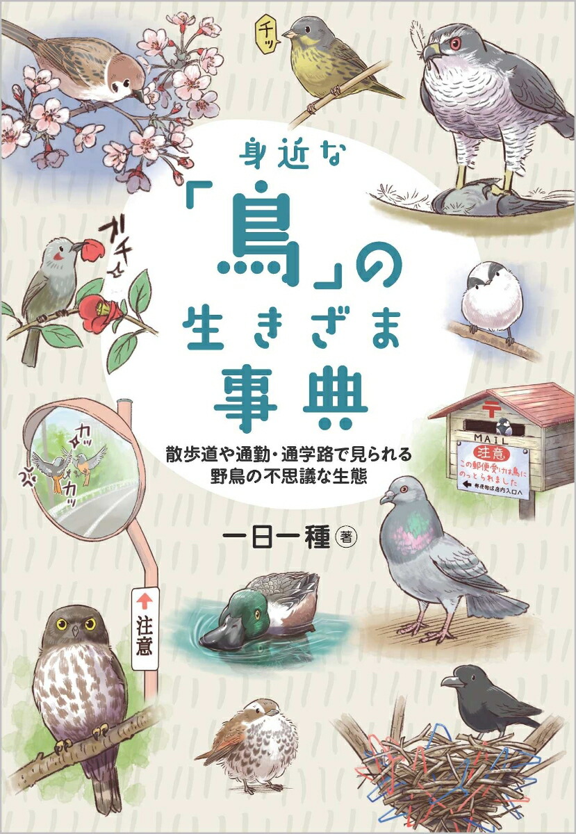 楽天ブックス 身近な 鳥 の生きざま事典 散歩道や通勤 通学路で見られる野鳥の不思議な生態 一日一種 本