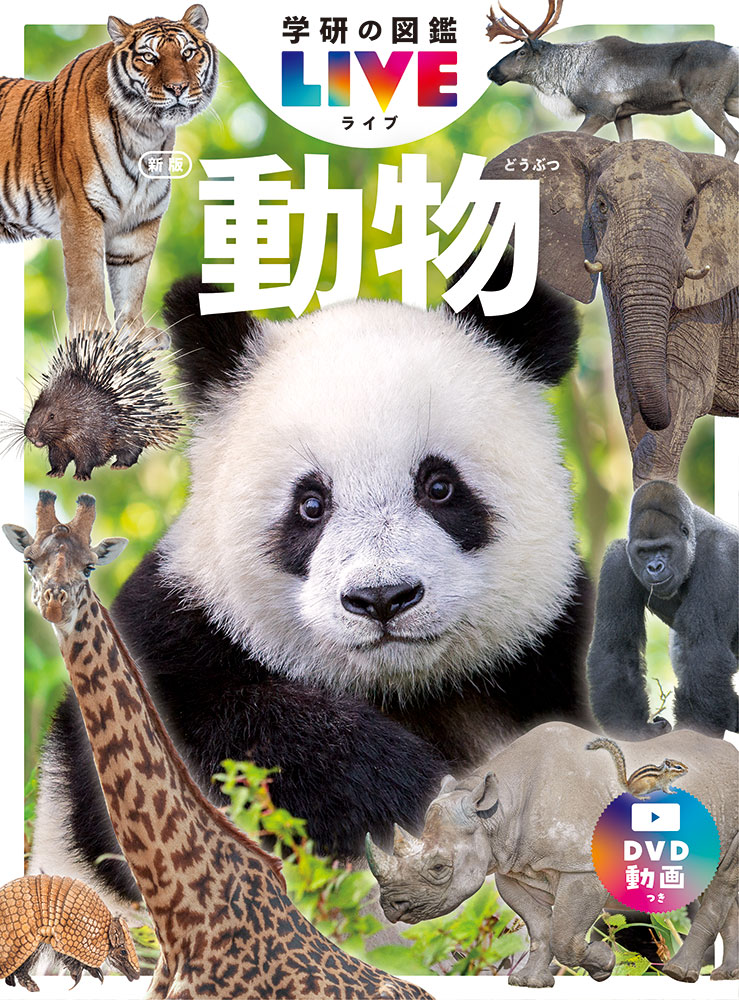 ưʪǡʳظο޴LIVEʥ饤֡8[кһ]