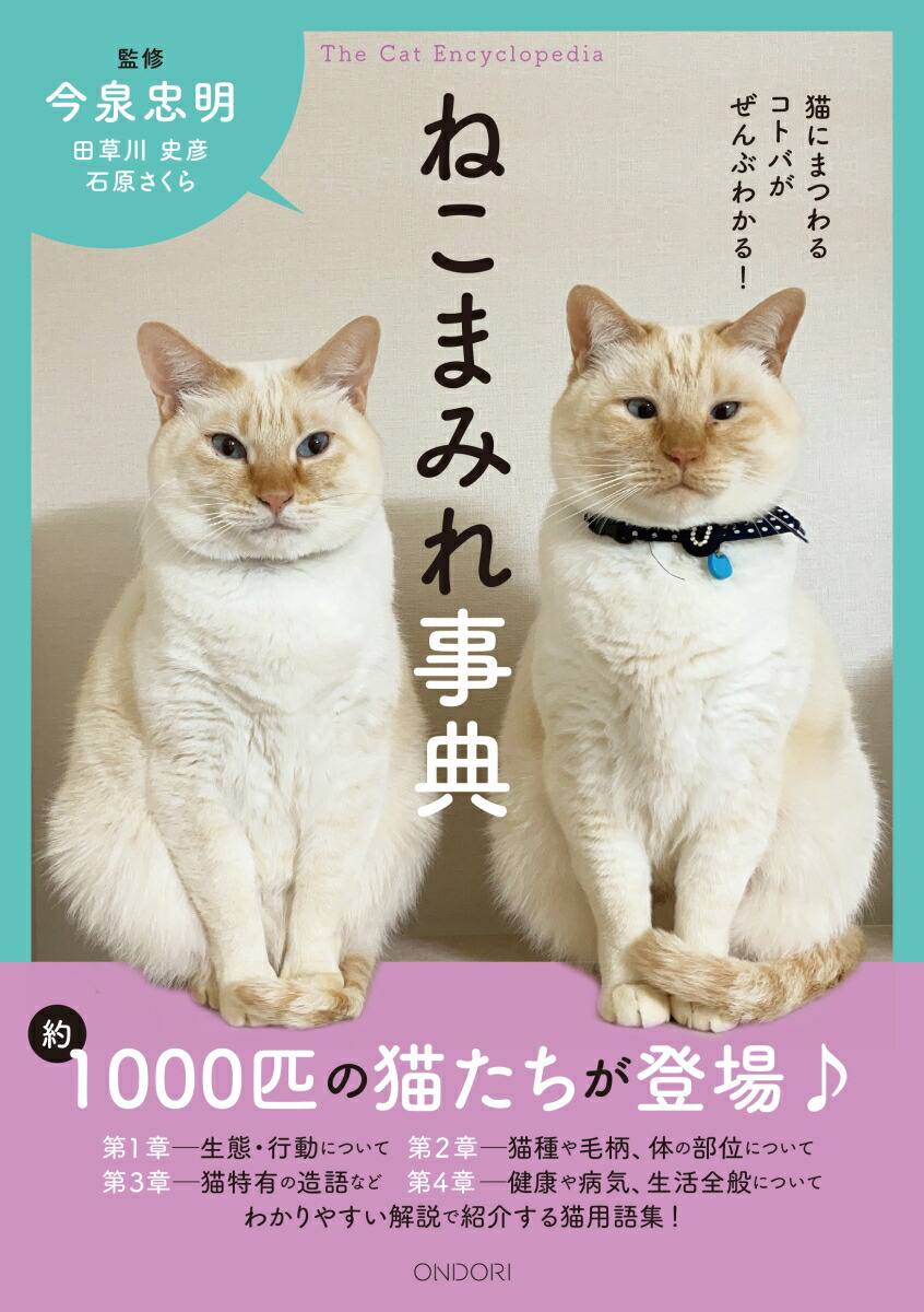 岩盤浴をする猫様 岩盤浴をする猫様