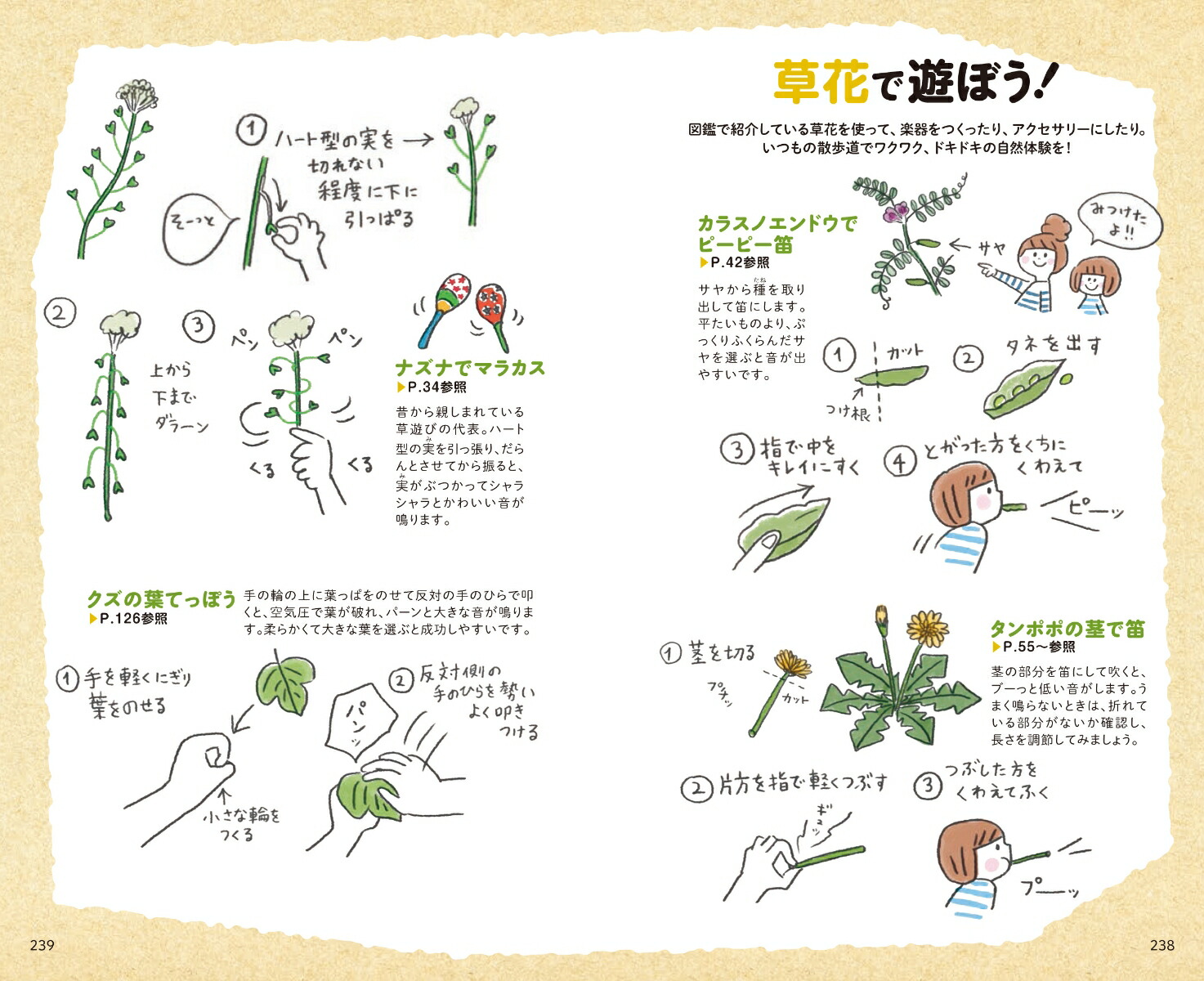 楽天ブックス 子どもと一緒に見つける草花さんぽ図鑑 自然観察大学 本