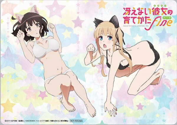 �ڳ�ŷ�֥å�������������ŵ��������ŵ�ۺ㤨�ʤ�����ΰ�Ƥ���Fine�ڴ������������ǡۡ�A5�������ޥ����ѥåɡ�����������B2���ꥢ�ݥ������ˡ�Blu-ray��[��������]