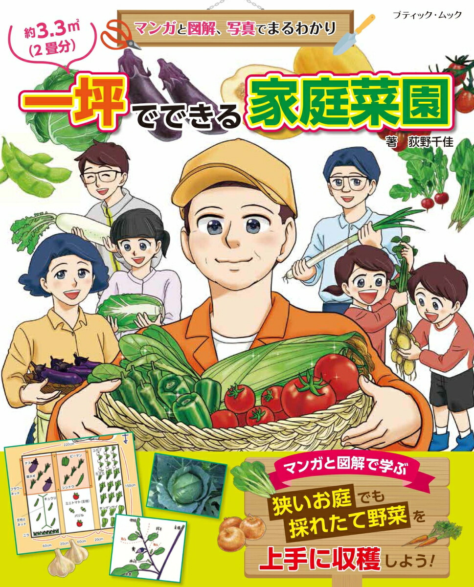 野菜園芸大百科 12／農山漁村文化協会