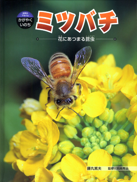 楽天ブックス ミツバチ 花にあつまる昆虫 藤丸篤夫 本