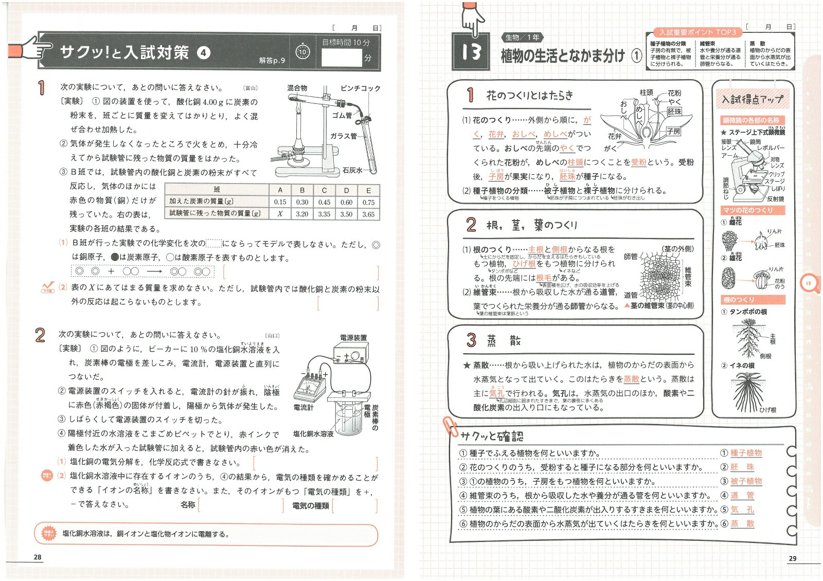 楽天ブックス 10分間で総復習 中学3年間の理科 サクッと 中学教育研究会 本