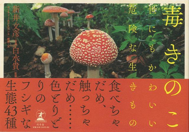 楽天ブックス バーゲン本 毒きのこ 新井 文彦 本