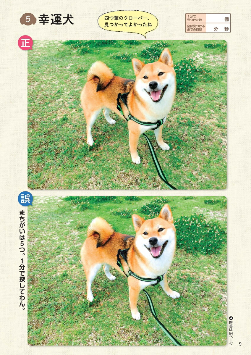毎日脳活スペシャルいぬのまちがいさがし柴犬多めの巻[古賀良彦]