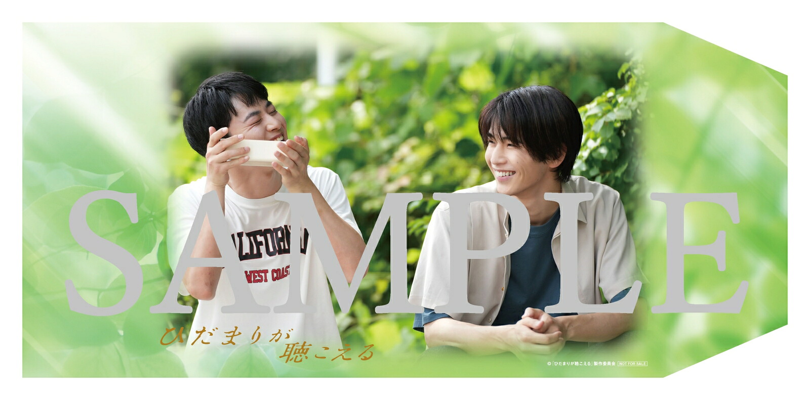【楽天ブックス限定先着特典】ひだまりが聴こえるBlu-rayBOX【Blu-ray】(特製ブックカバー)[中沢元紀]