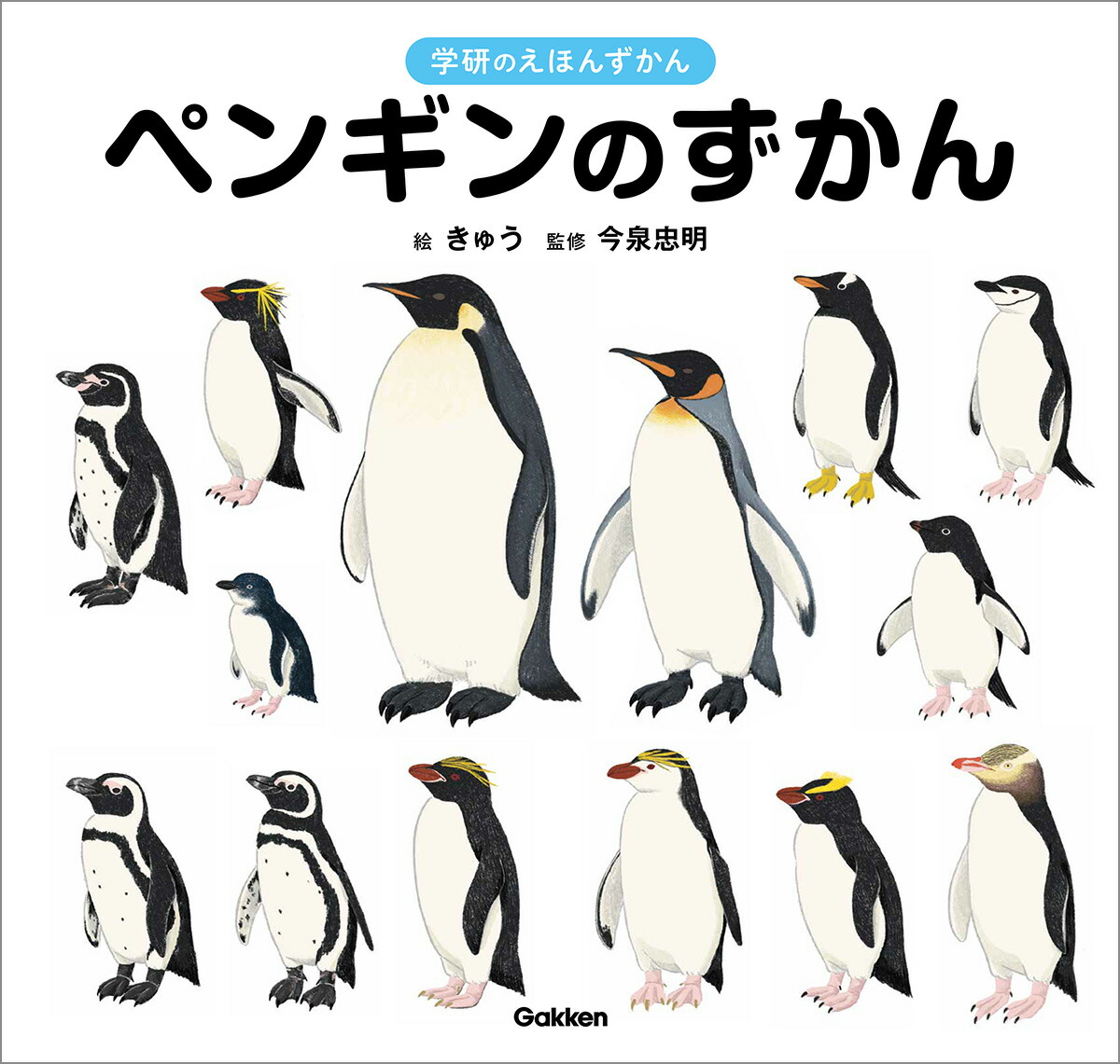 ペンギンのずかん（学研のえほんずかん5）[今泉忠明]