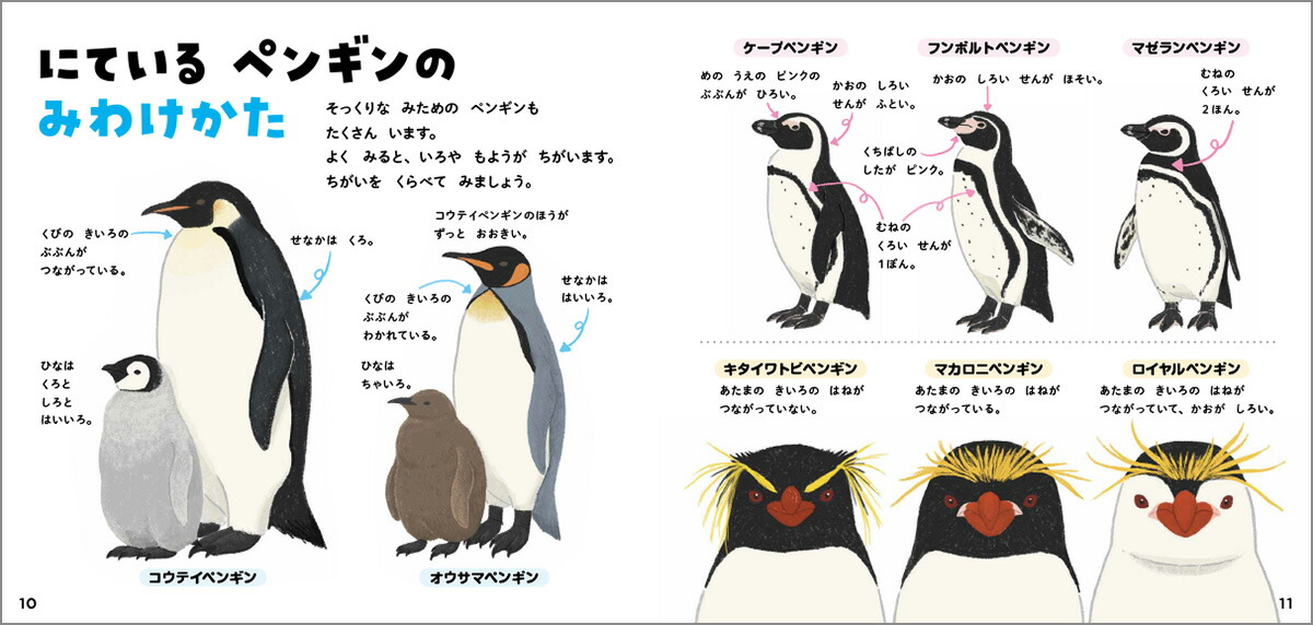 ペンギンのずかん（学研のえほんずかん5）[今泉忠明]