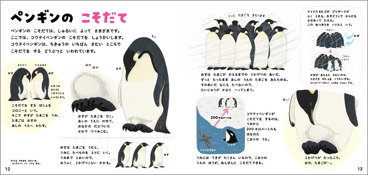 ペンギンのずかん（学研のえほんずかん5）[今泉忠明]