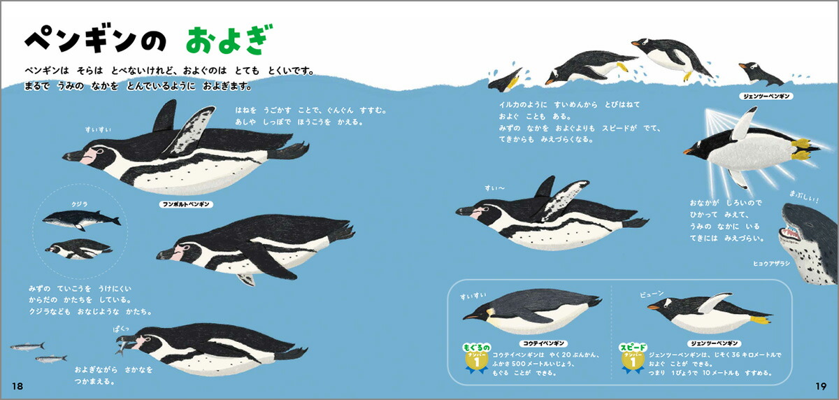 ペンギンのずかん（学研のえほんずかん5）[今泉忠明]