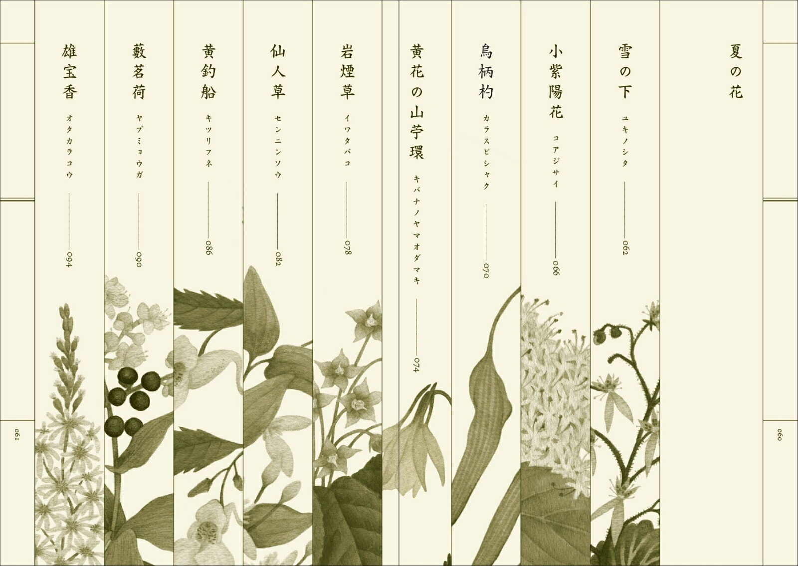楽天ブックス: 野山花花図譜 - 梨木 香歩 - 9784473047076 : 本