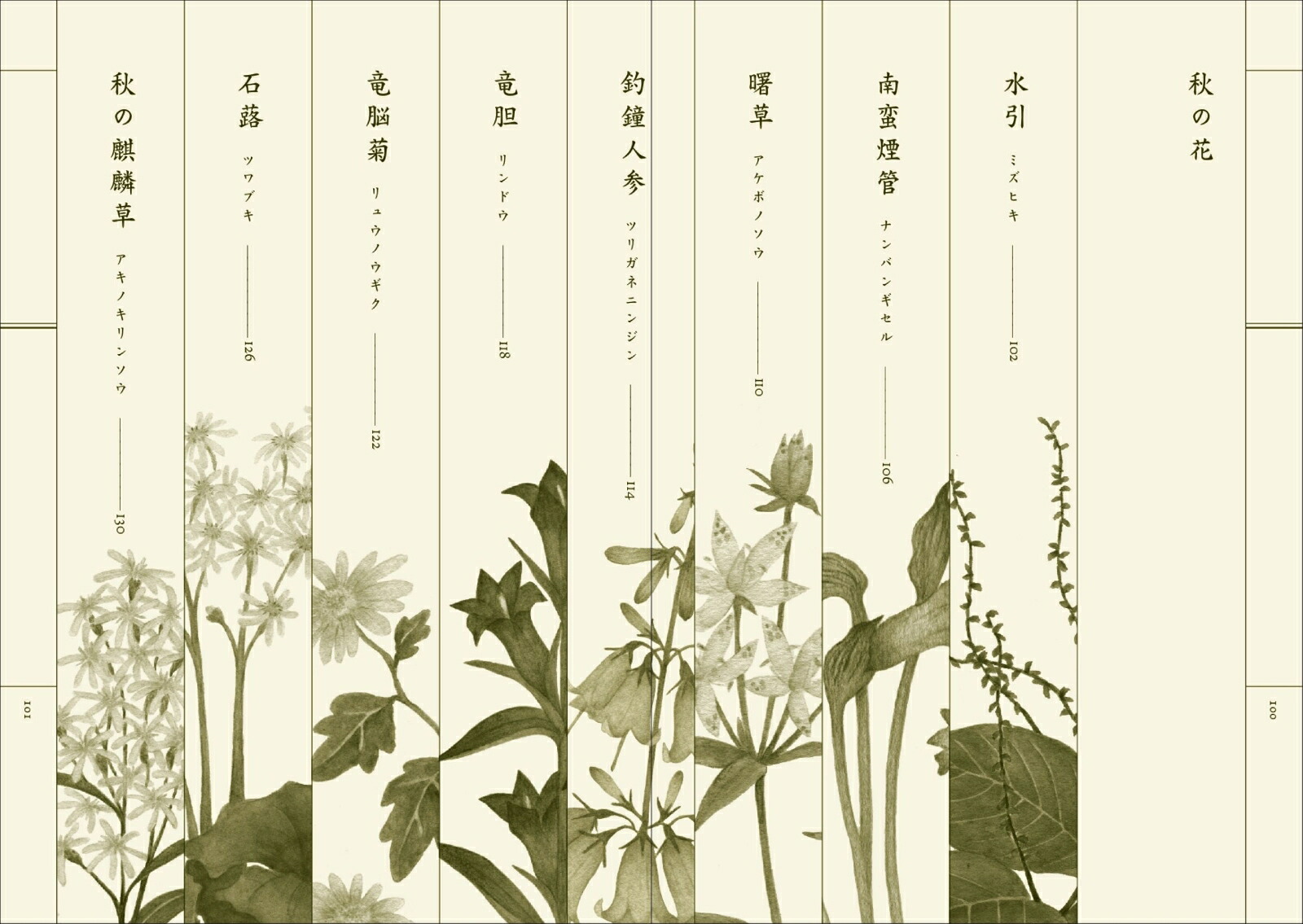 楽天ブックス: 野山花花図譜 - 梨木 香歩 - 9784473047076 : 本