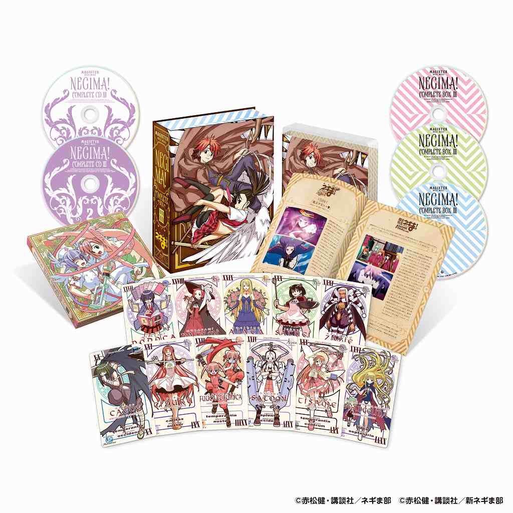 楽天ブックス: 魔法先生ネギま! コンプリートBOX III(期間限定生産版