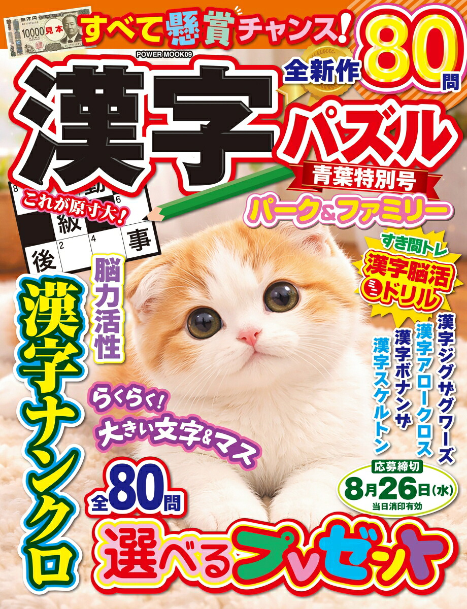 漢字パズルパーク＆ファミリー青葉特別号（POWERMOOK）