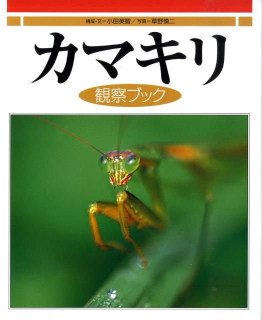 楽天ブックス カマキリ観察ブック 小田英智 本