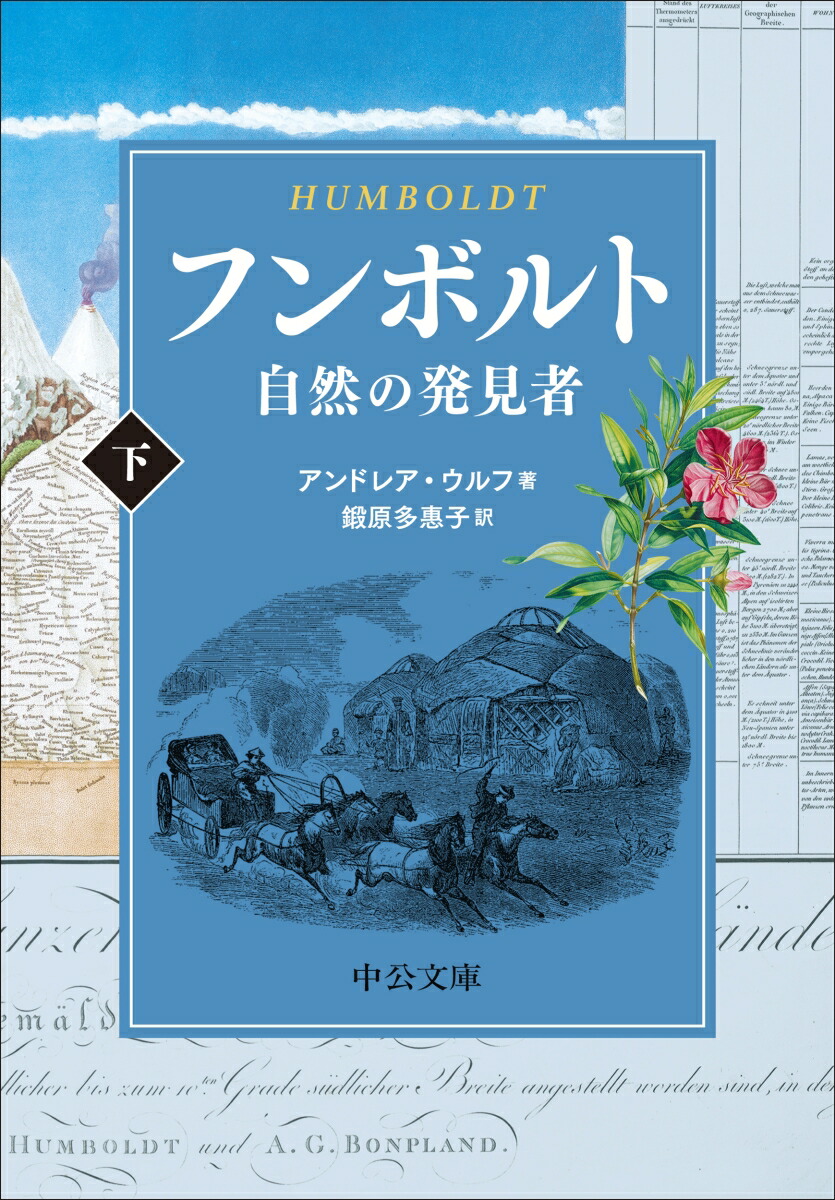 フンボルト（下）画像