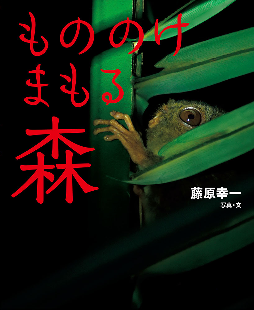 楽天ブックス もののけまもる森 藤原 幸一 本