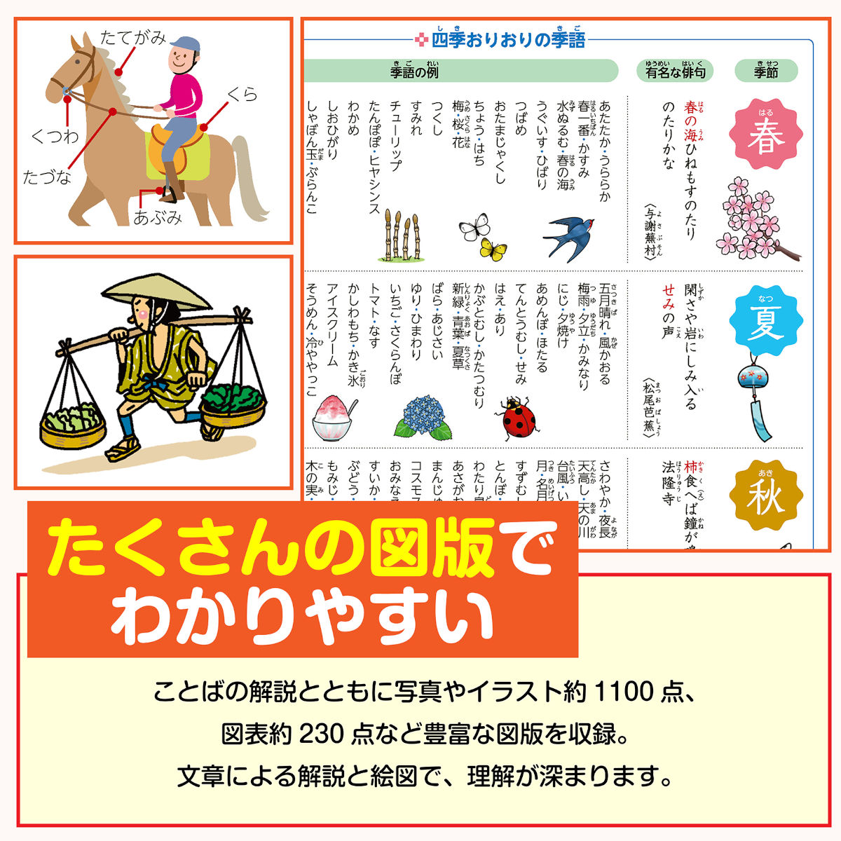 例解学習国語辞典第十二版オールカラー[金田一京助]