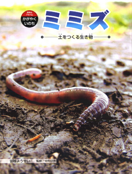 楽天ブックス: ミミズ - 土をつくる生き物 - 皆越ようせい - 9784251067135 : 本