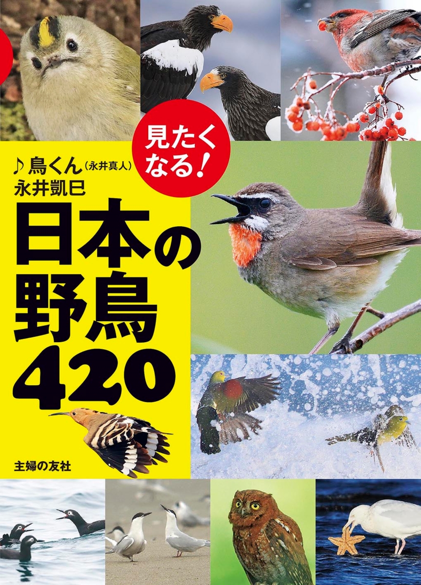 楽天ブックス 見たくなる 日本の野鳥4 鳥くん 永井真人 本