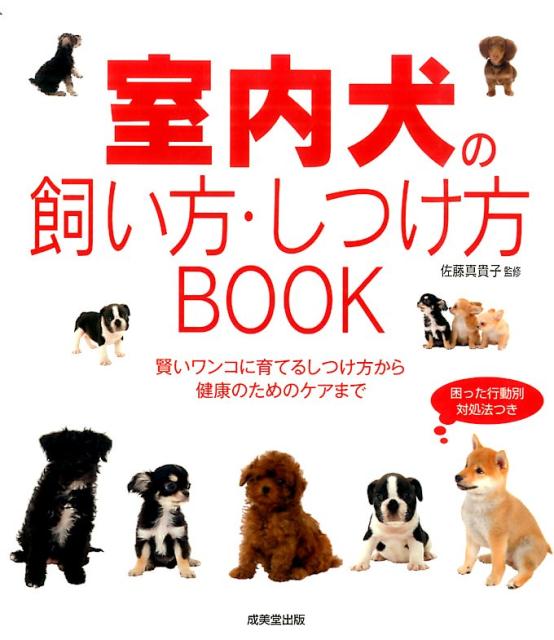 楽天ブックス 室内犬の飼い方 しつけ方book 佐藤真貴子 本