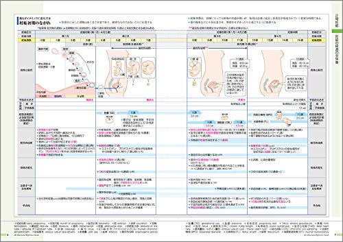 病気がみえる（vol.10）産科[医療情報科学研究所]