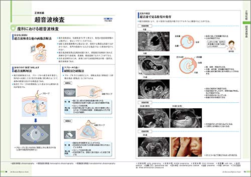 病気がみえる（vol.10）産科[医療情報科学研究所]