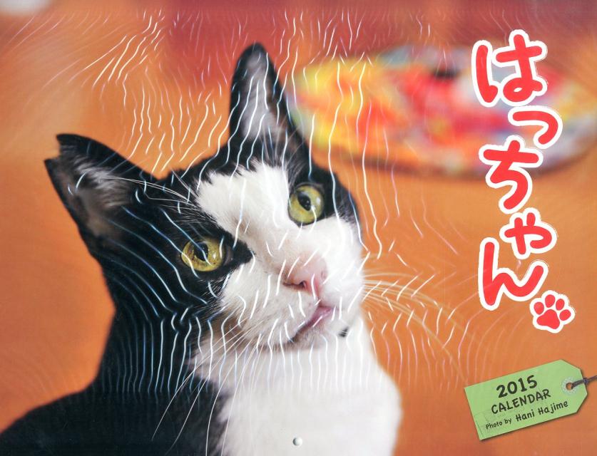 Ϥä󥫥2015ˡʡΥϡ